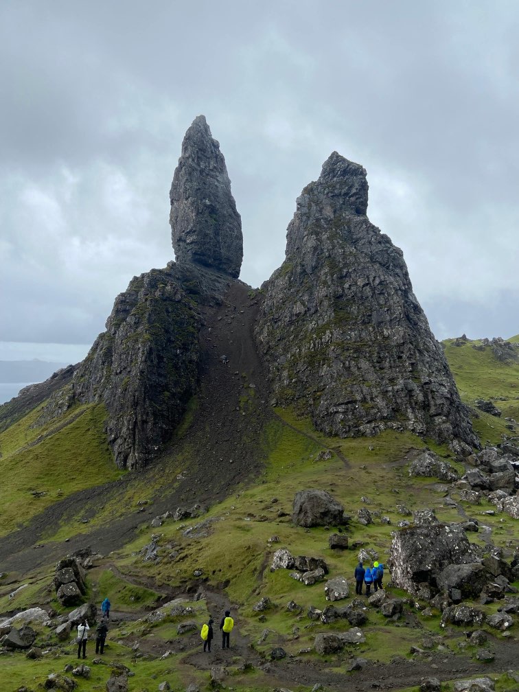 Animals at McDonald's Farm